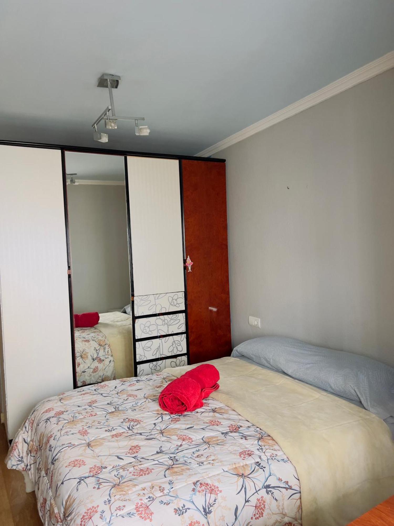Centro Alicante Apartamento Entero Dış mekan fotoğraf
